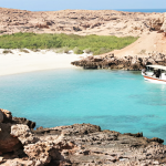 Dimaniyat Island Tour