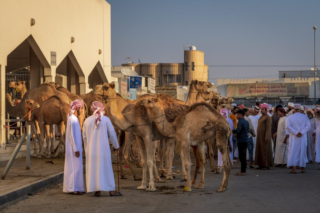 Splendid Oman